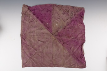 中华民国赤卫队的先锋红旗